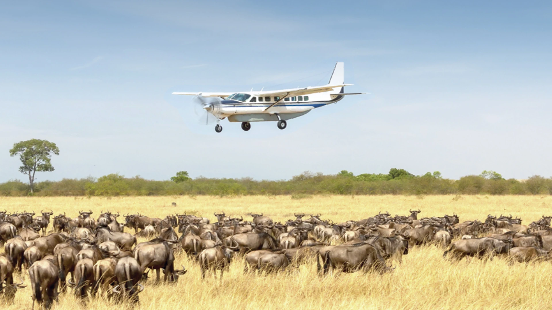 5 Days Fly in Safari From Zanzibar