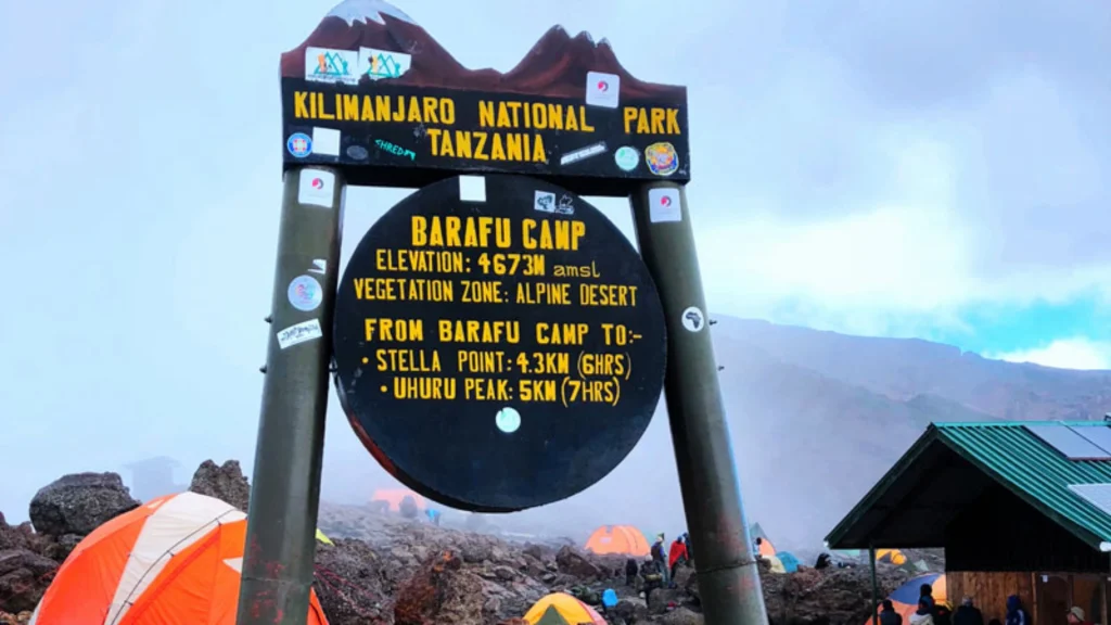 Climber reaching the summit of Mount Kilimanjaro with sunrise view
