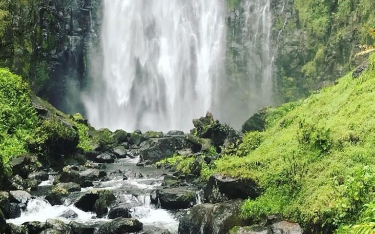 tanzania-detox-tourism-package