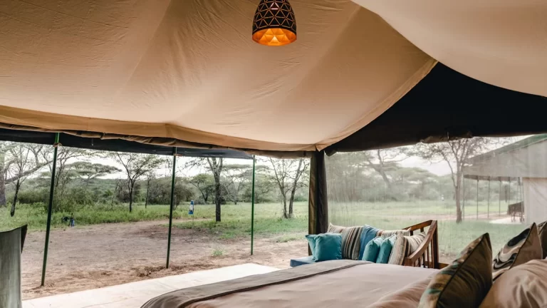 Ang'ata Migration - Bologonja Camp (2)