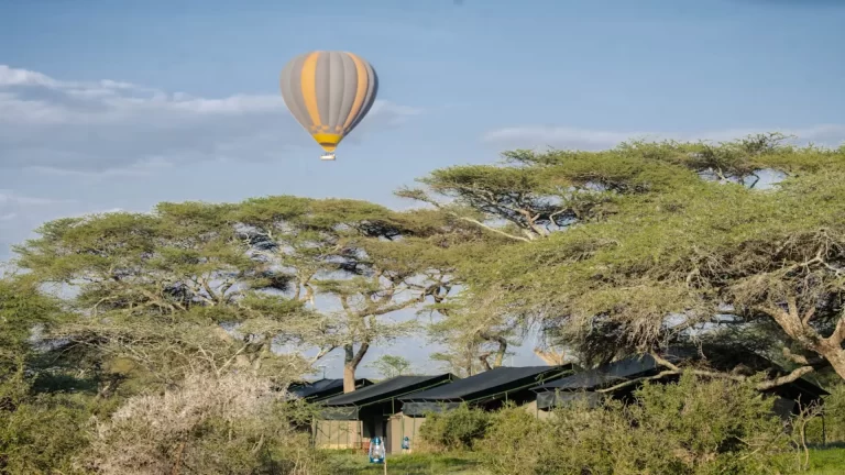 Ang'ata Migration - Bologonja Camp (6)