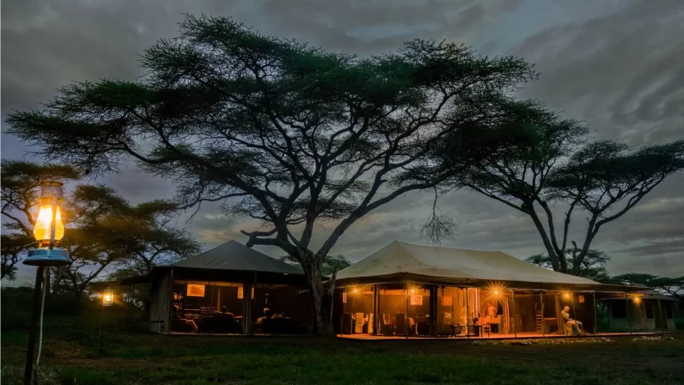 Ang’ata Migration - Bologonja Camp