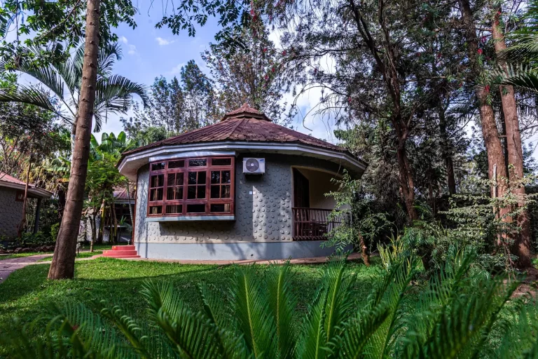 Arusha Planet Lodge 9