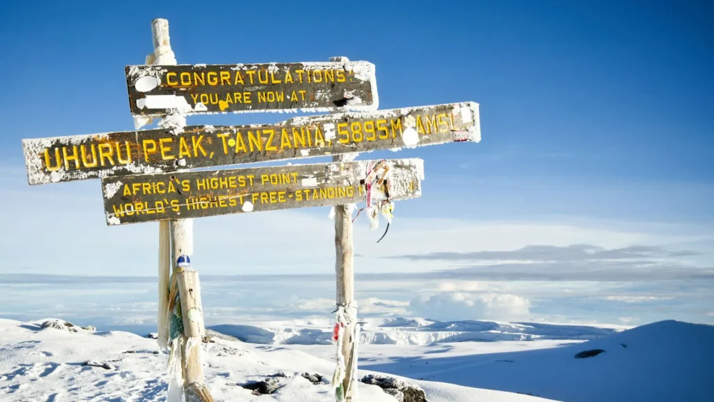 Affordable Tanzania Safari local guide explaining wildlife during Climbing Kilimanjaro