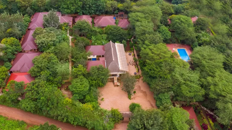 Eileen's Trees Inn - Karatu (9)