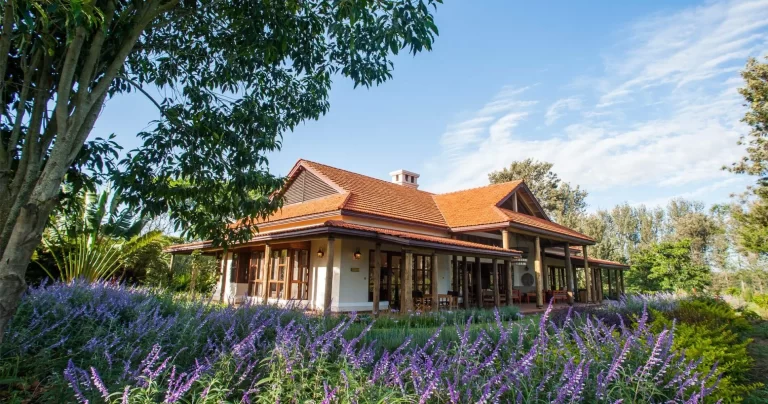 Legendary-2-1900x1000-4