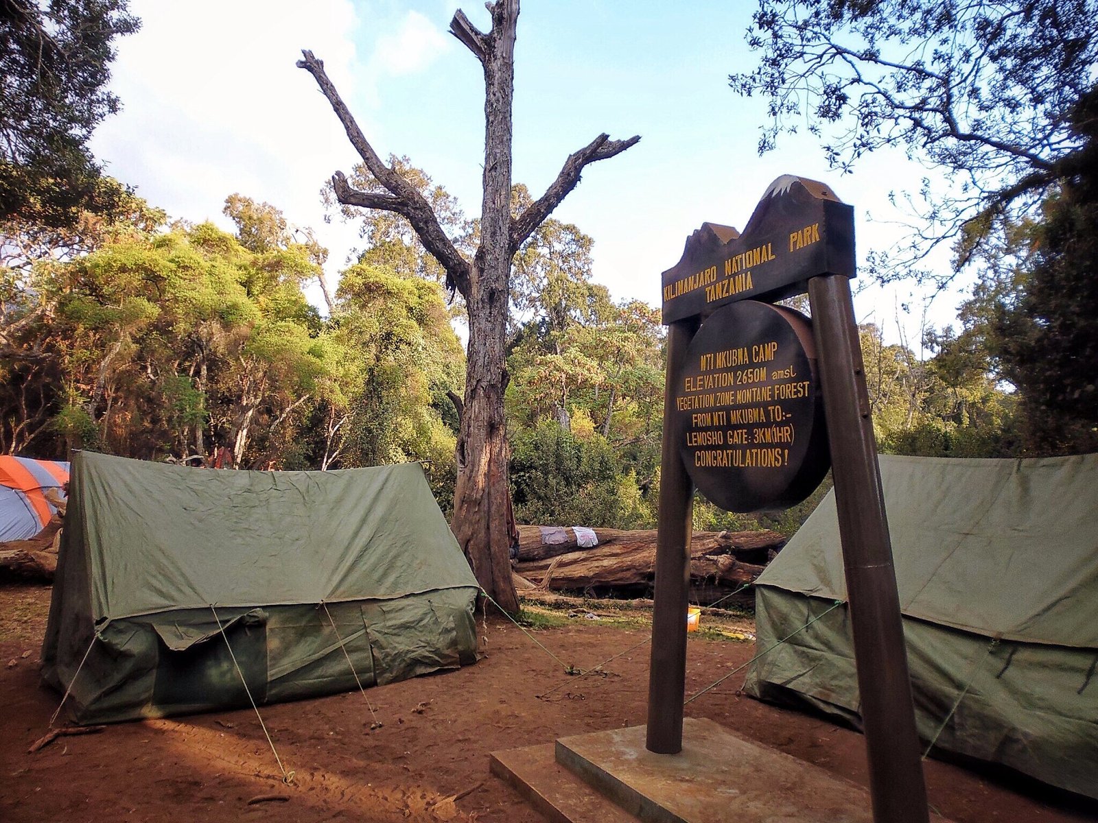 Mti-mkubwa-camp