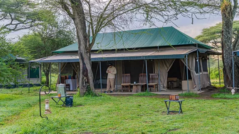Ndutu Heritage Camp (4)