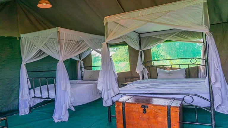 Ndutu Heritage Camp (8)