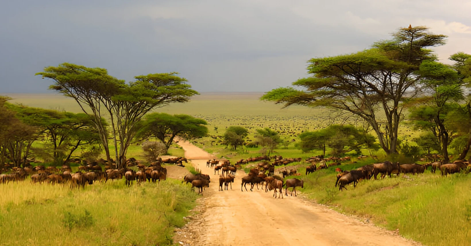 Ngorongoro-crater-trip