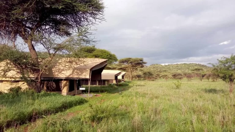 Serengeti Osupuko camp (5)
