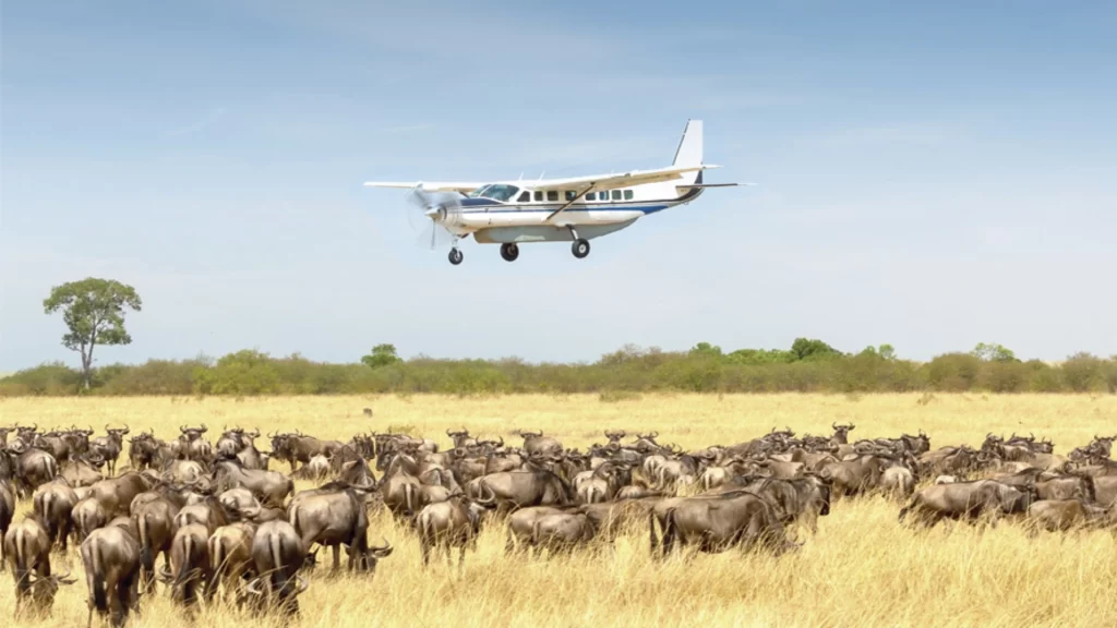 Serengeti Wildebeest Migration Safari Fly In Drive Out