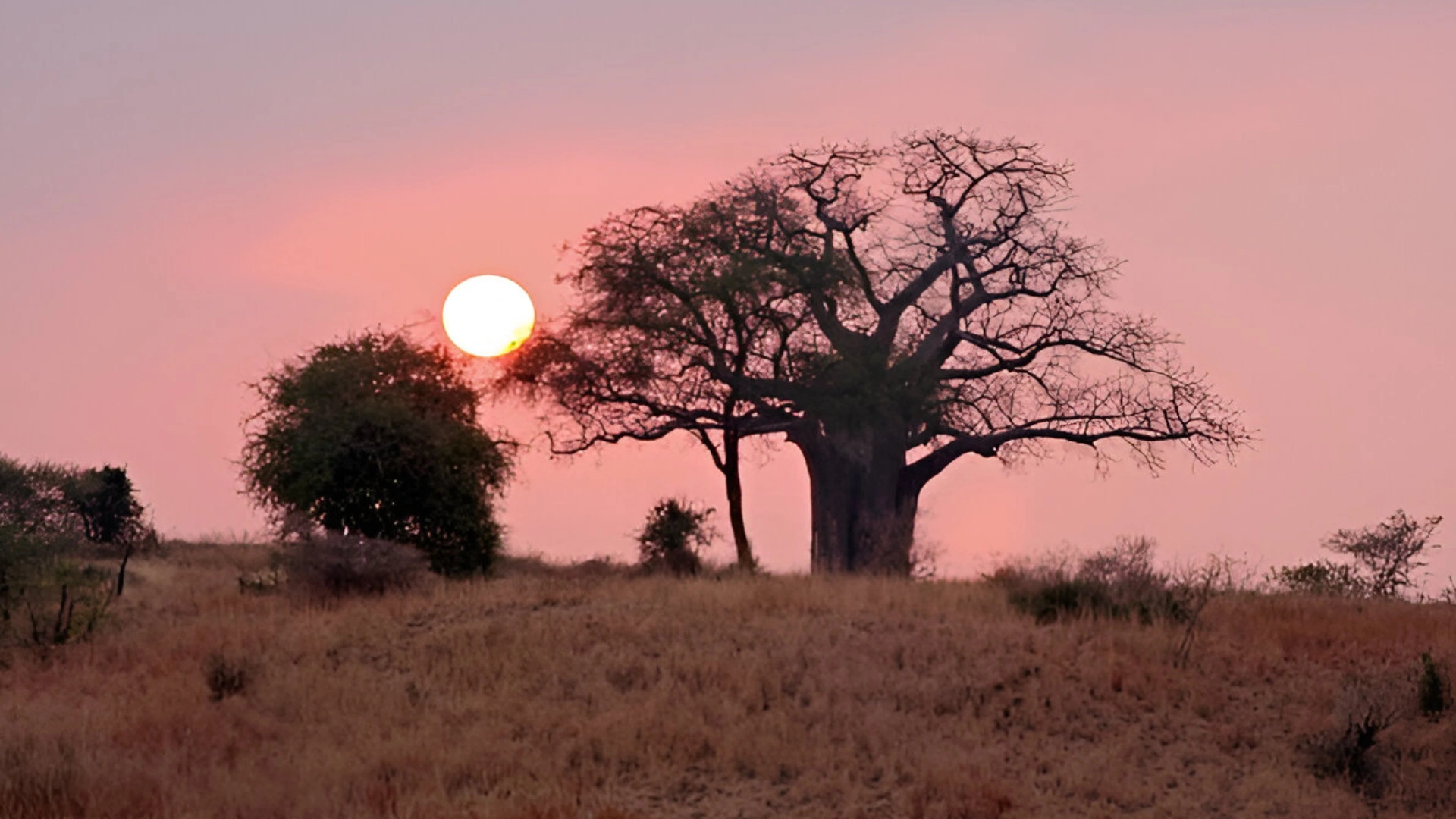 Tarangire-National-Park.