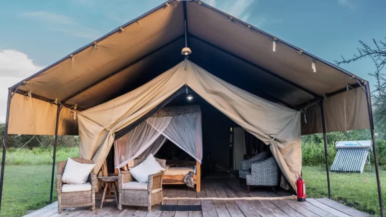 africa safari south serengeti (1)