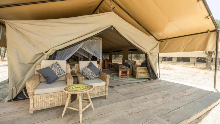 africa safari south serengeti (3)