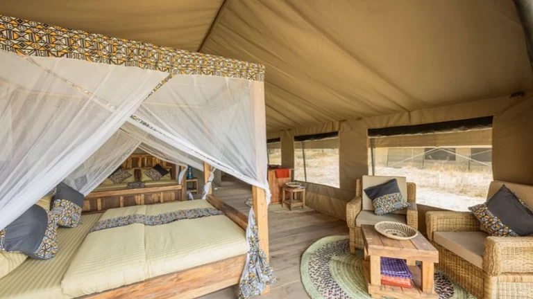 africa safari south serengeti (5)