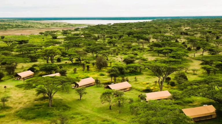 _africa-safari-south-serengeti