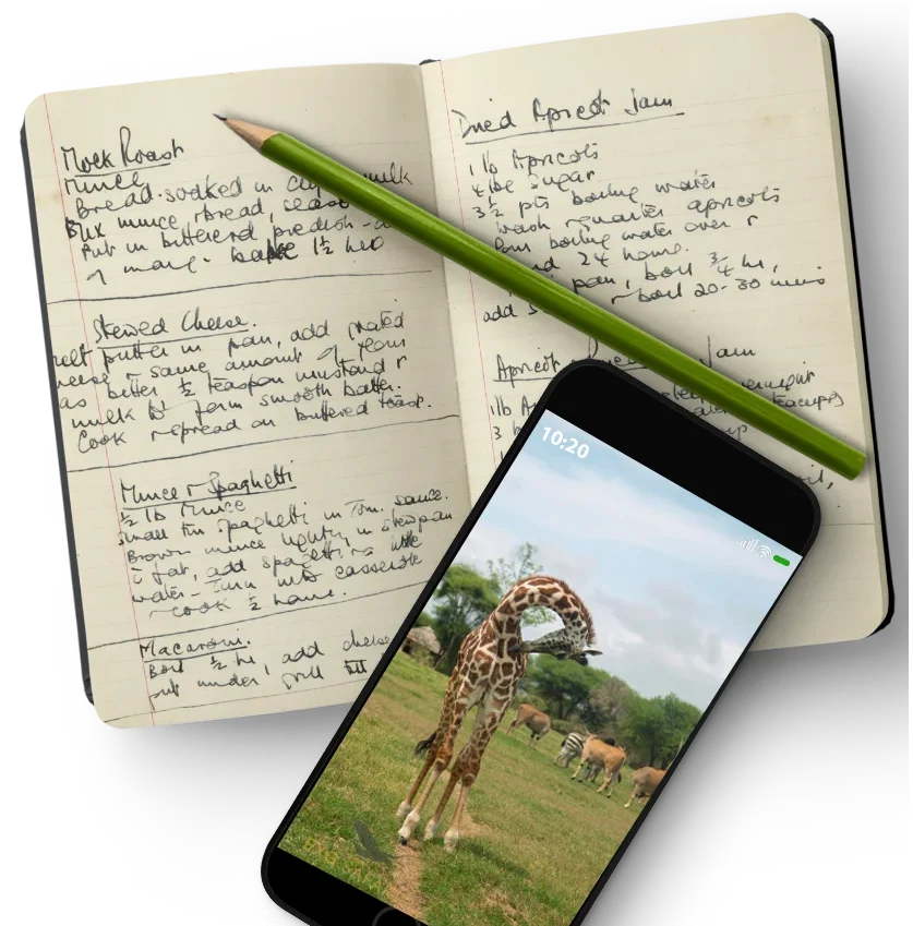 Affordable Tanzania Safari tour group observing giraffes in Tanzania, Africa Travel Blog