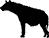 Hyena