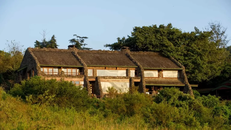 serena ngorongoro