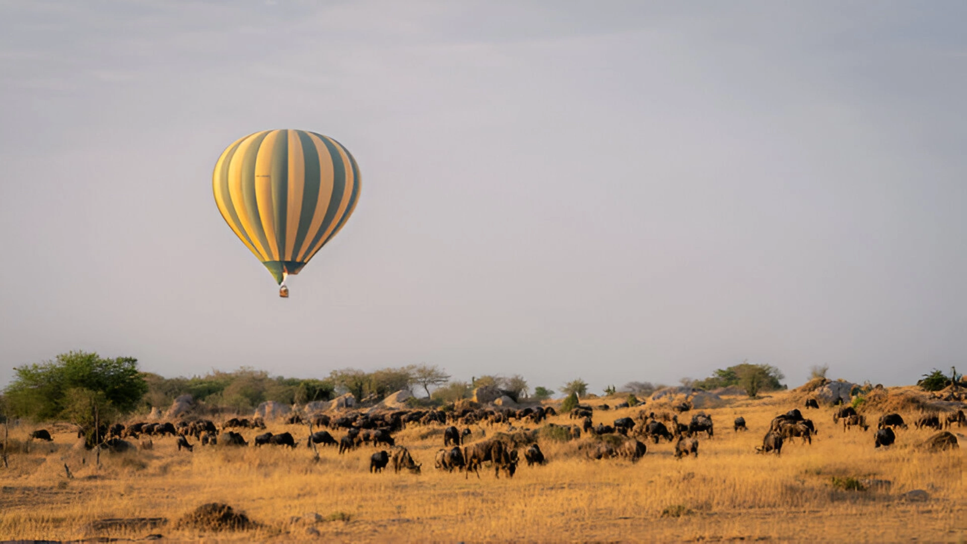 serengeti national park