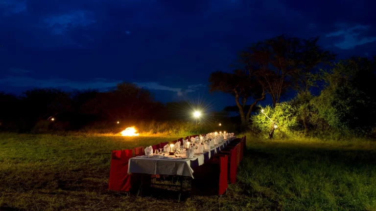 serengeti serena safari lodge (4)