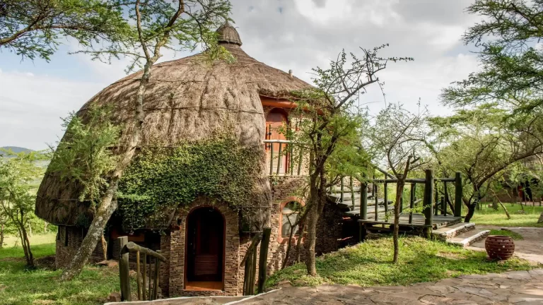 serengeti serena safari lodge (5)