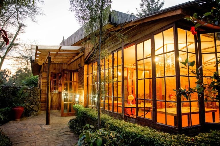 under-the-shade-safari-1