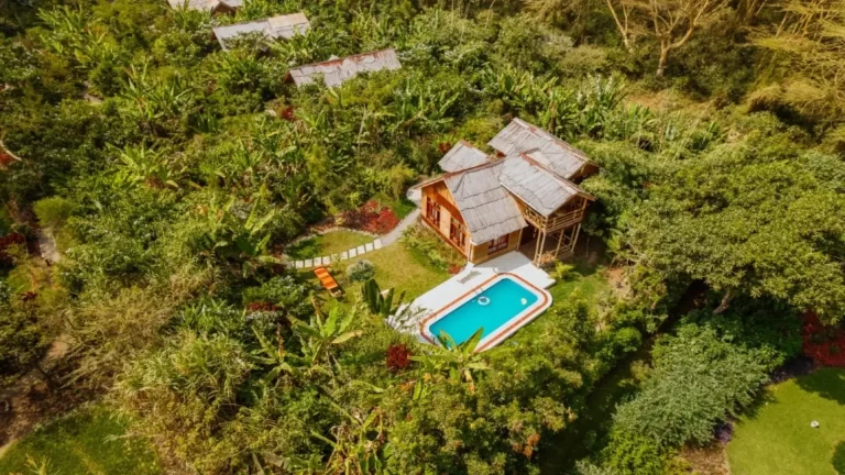 under the shade safari lodge