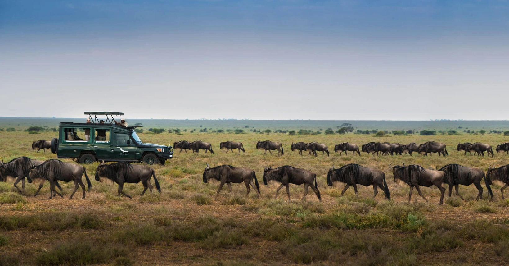 western-corridor-serengeti-park.