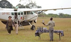 fly in safaris cost