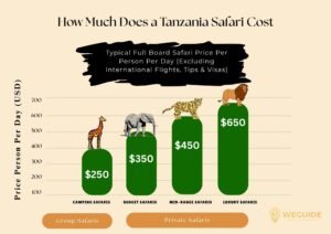 How Much Does a Tanzania Safari Cost?