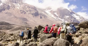 Climbers with headlamps ascending Kilimanjaro's summit in pre-dawn darkness with stars visible overhead