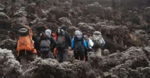Hikers traversing Kilimanjaro's Barranco Wall with dramatic rock formations and valley views