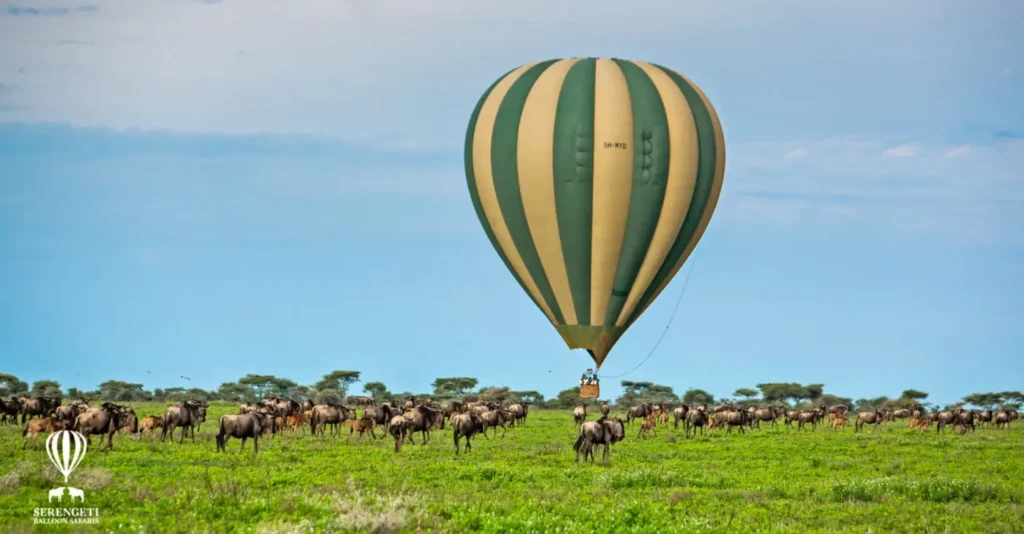 Hot air Balloon Safaris