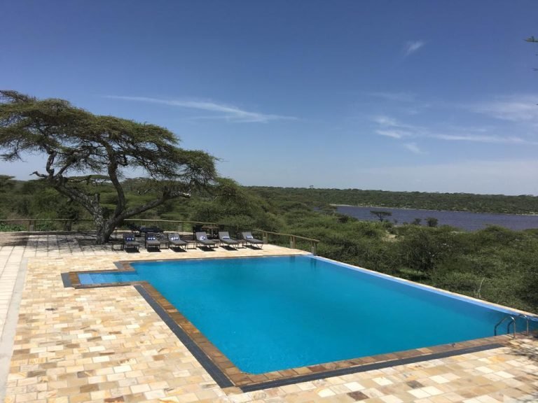 Masek-Tented-Lodge-Swimming-pool