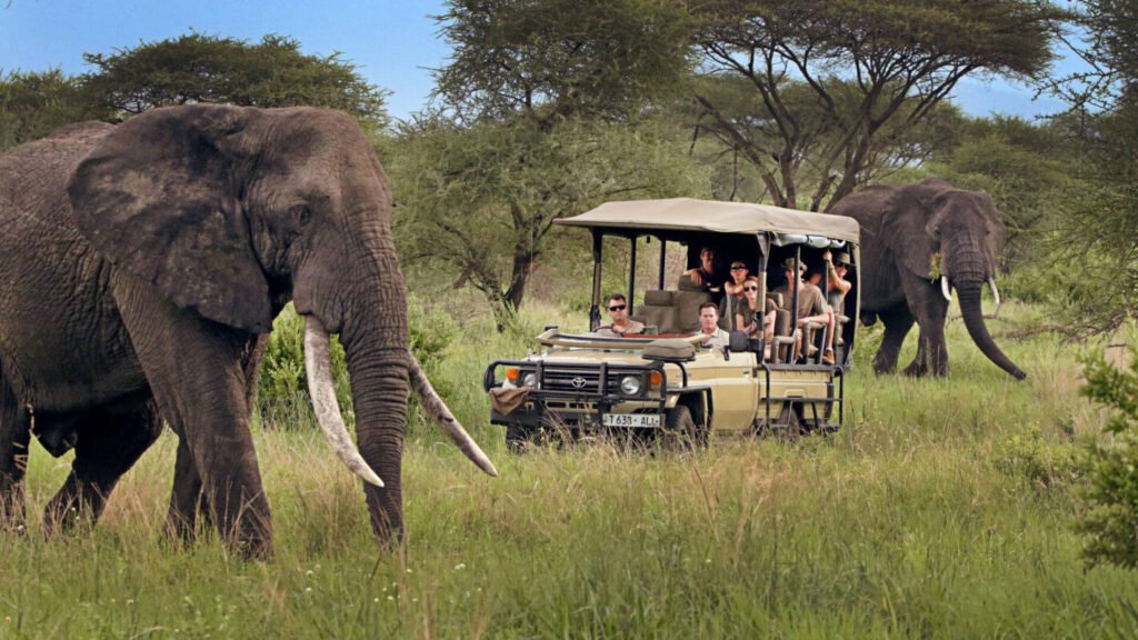 Tanzania-private-safaris-Tour