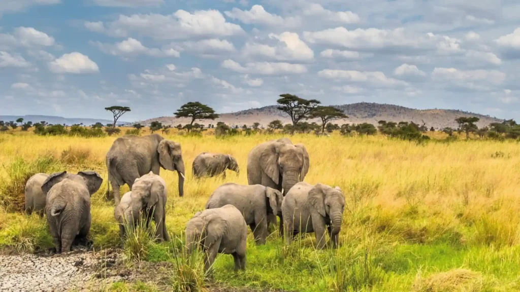 When is the best time to visit Tanzania?