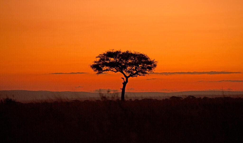 best-time-visit-serengeti-tanzania