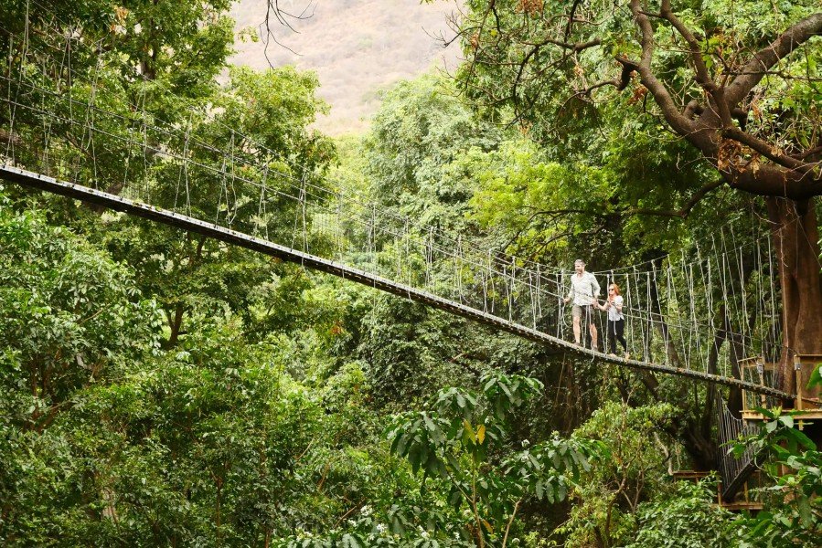 walking Safaris