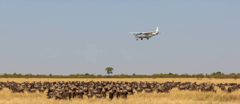 fly-in-safaris-in-tanzania