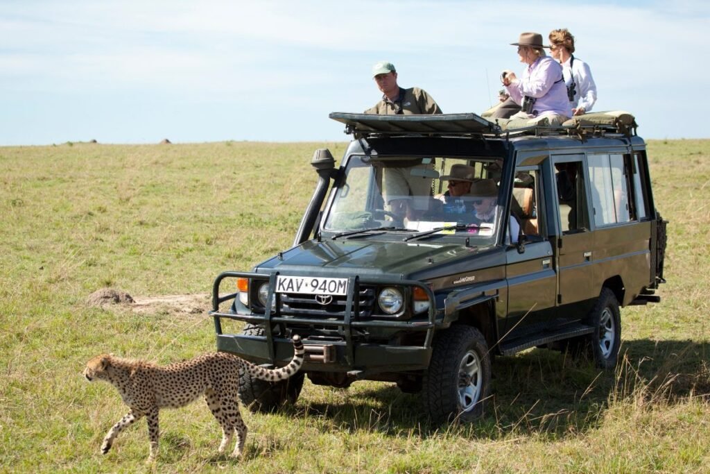 game drive safari in tanzania
