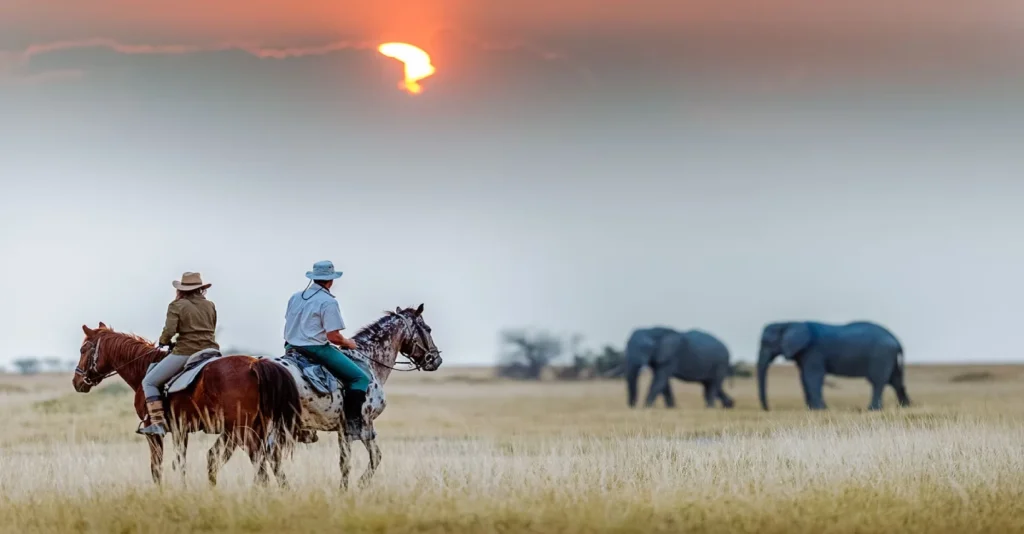 horse riding tanzania safaris