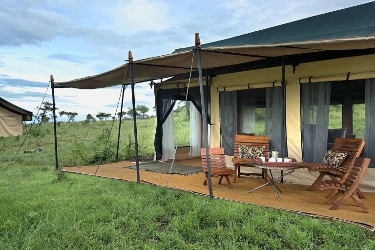 nyikanicampcentralserengeti26