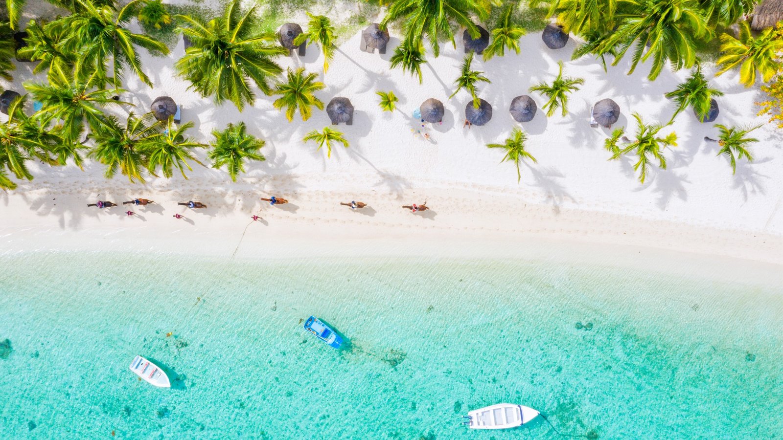 safari and beach holiday tanzania and zanzibar