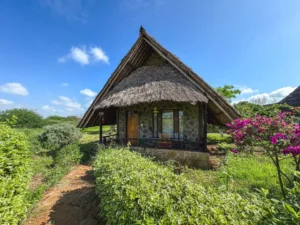 budget-safari-lodge-img_8856