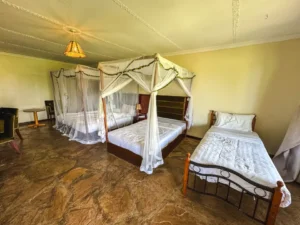 budget-room-safari-lodge-img_8858 (1)