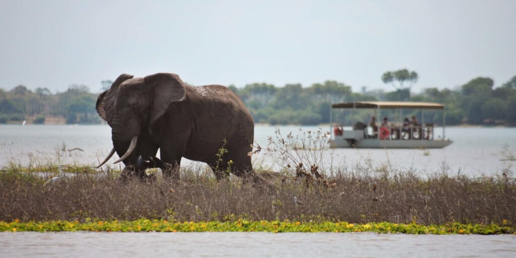 boat safaris tanzania