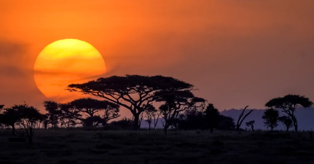 Sundowner experiences in Tanzania