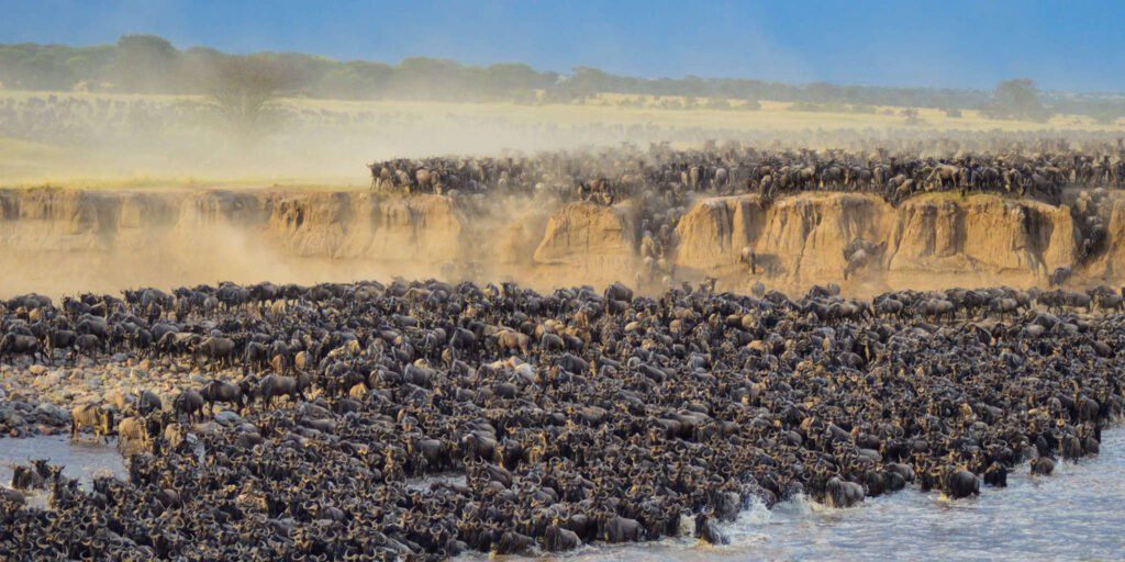 the great migration